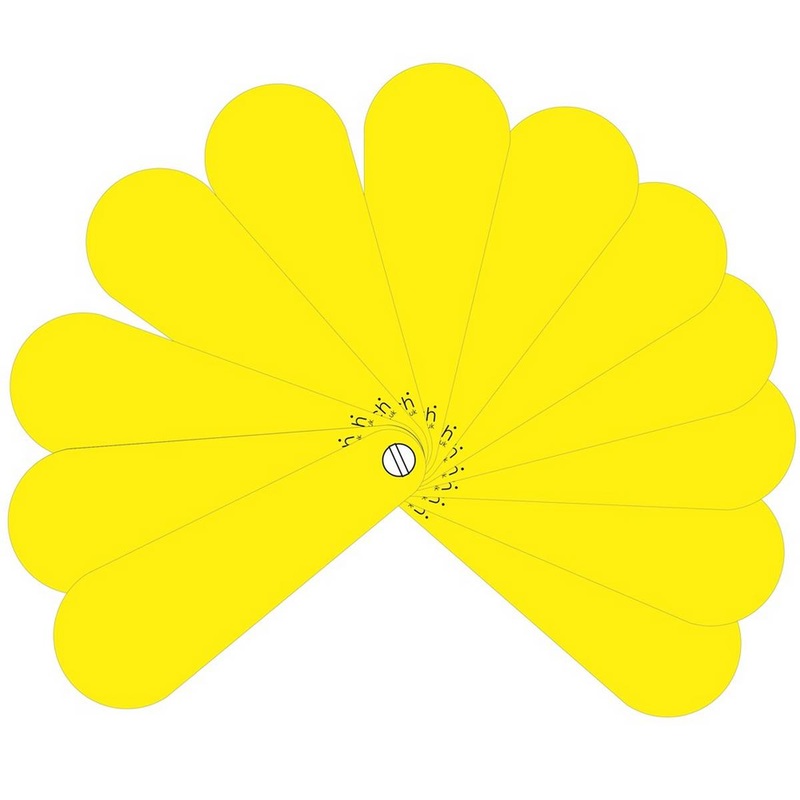 Blank Pupil Fans  Pack of 10