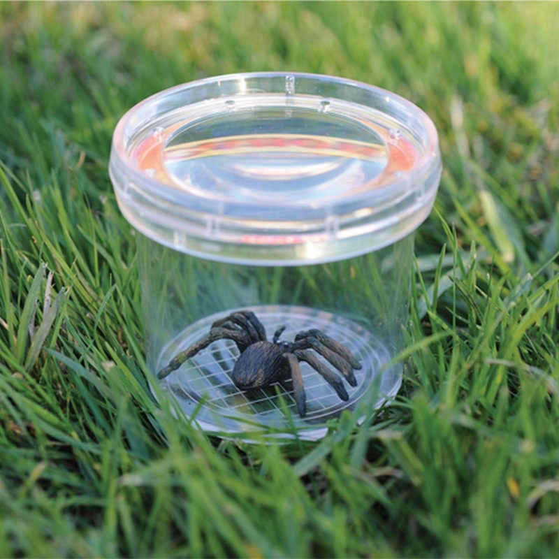 GeoSafari Jr. Bug Viewer Jar