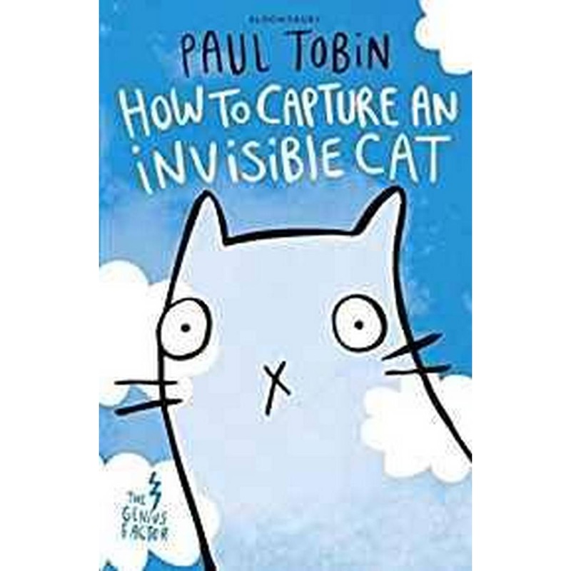 How to Capture an Invisible Cat