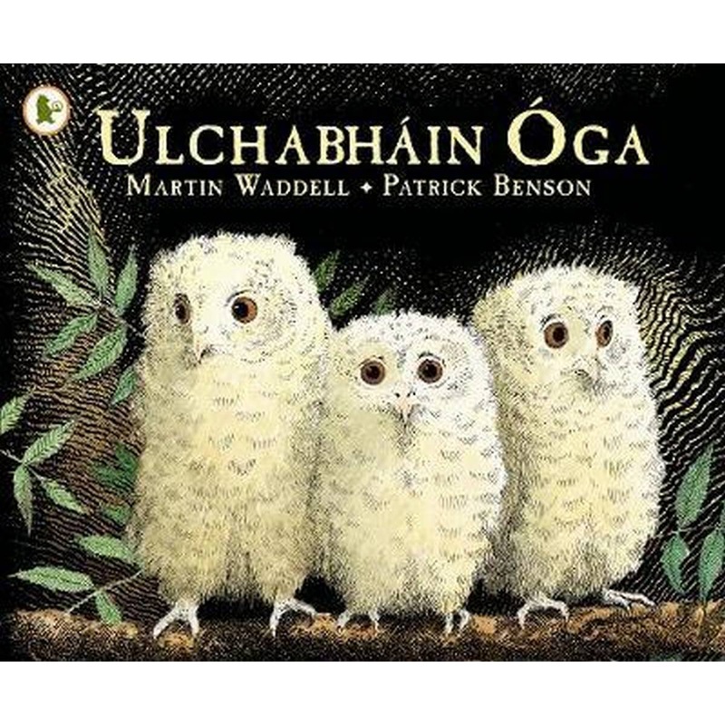 Ulchabhin ga (Owl Babies)