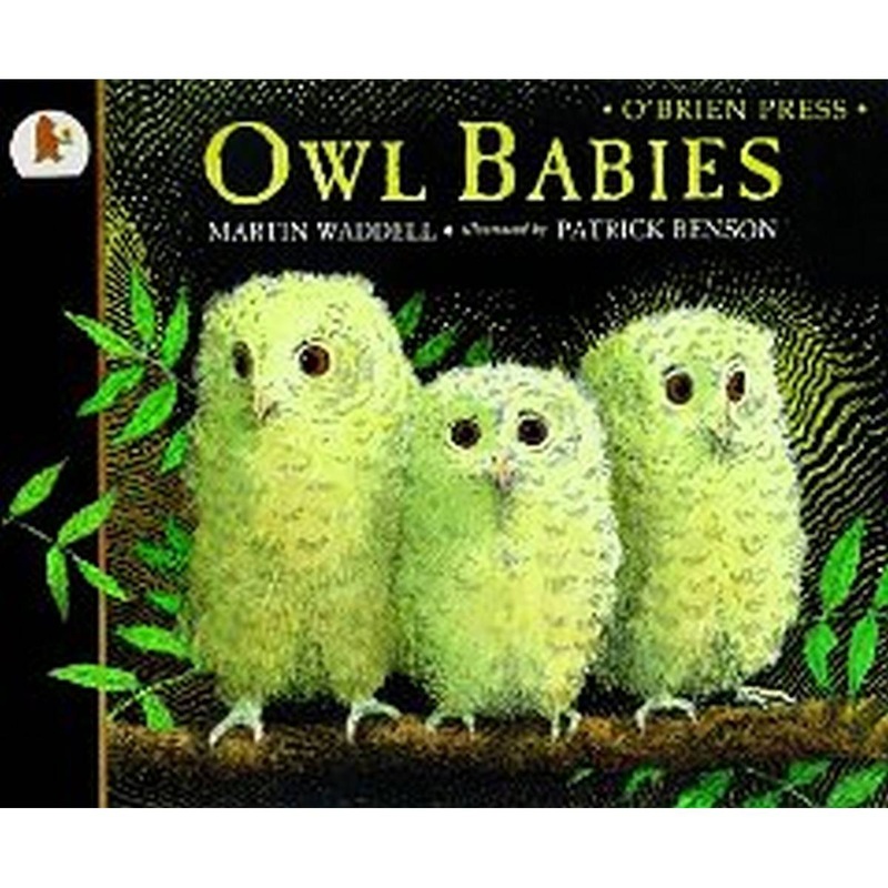 Owl Babies