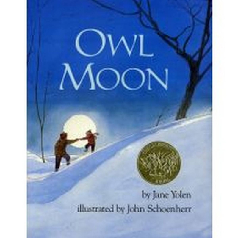 Owl Moon Hardback