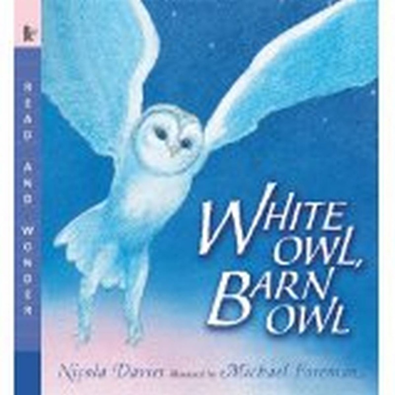 White Owl, Barn Owl