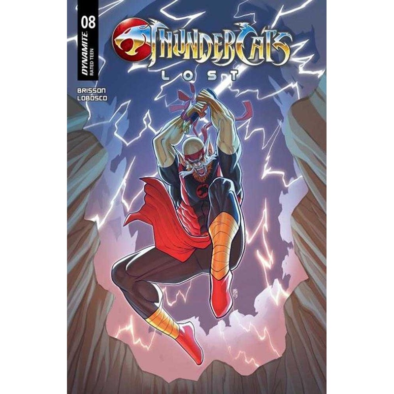 Thundercats Lost #8 Cover B Alfredo Cardona Variant
