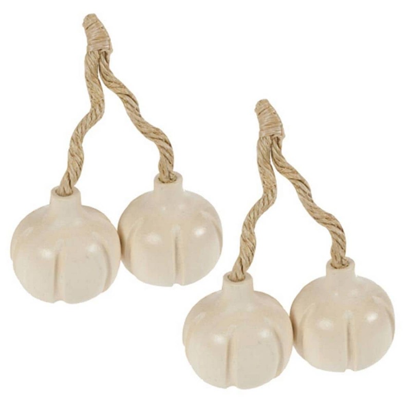 Garlic (Pack of 2)