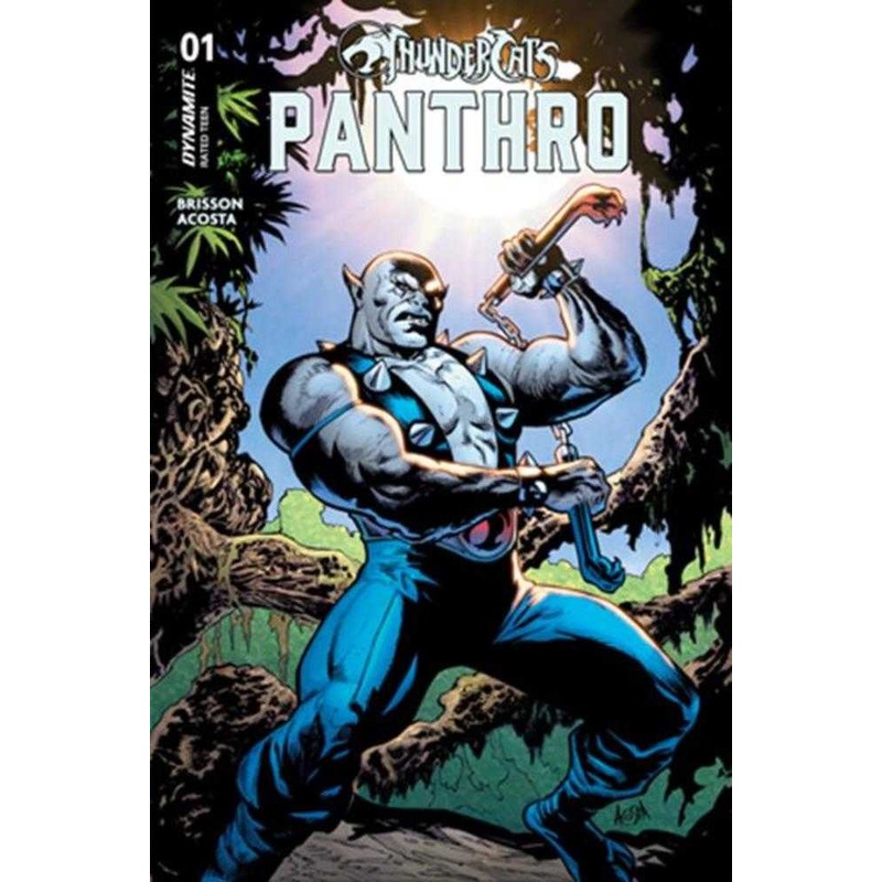 Thundercats Panthro #1 Cover A Dave Acosta