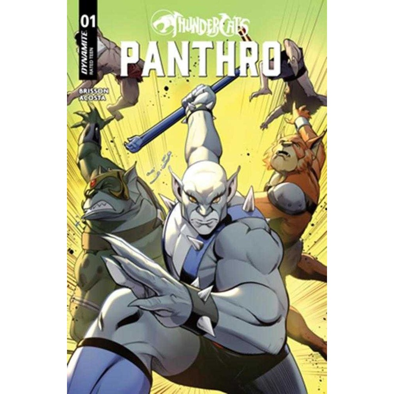 Thundercats Panthro #1 Cover C Robert Quinn Variant