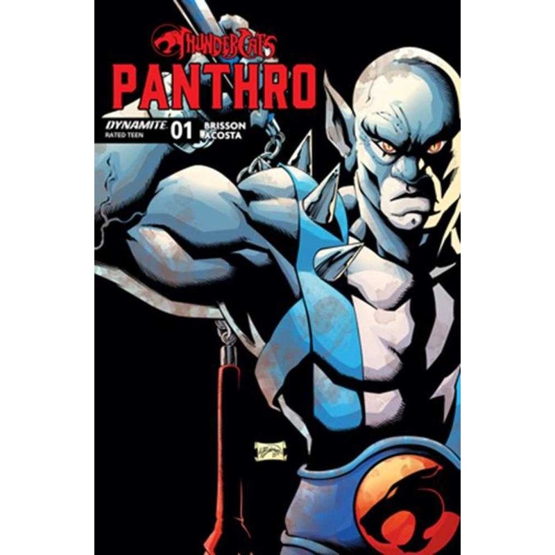Thundercats Panthro #1 Cover D Will Robson Variant