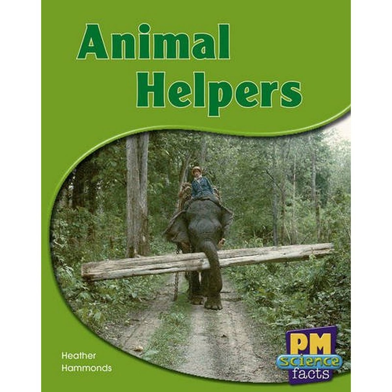 PM Science Facts Green Holiday By The Sea