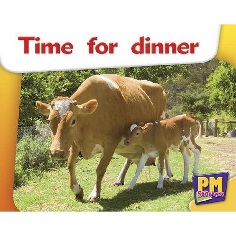 PM Starters 2 At the Zoo