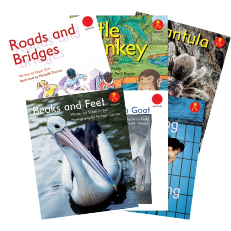 Alphakids Early Level 11