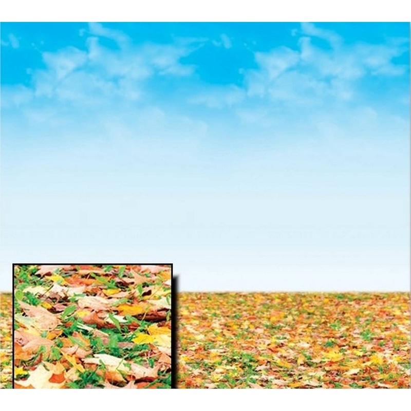 Fadeless Display Rolls 1.2m x 3.7m Autumn Horizon