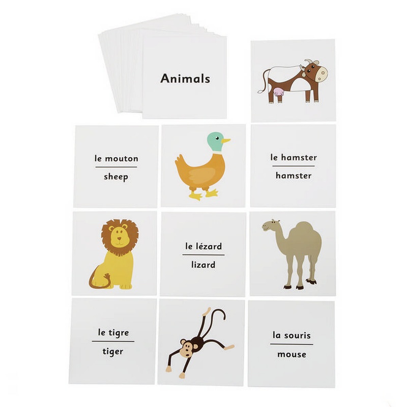 French Dice Cards  Animals