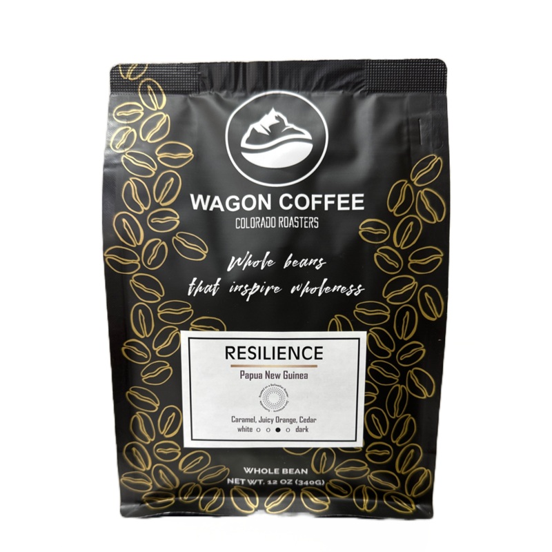 Resilience (ONLINE ORDER ONLY)