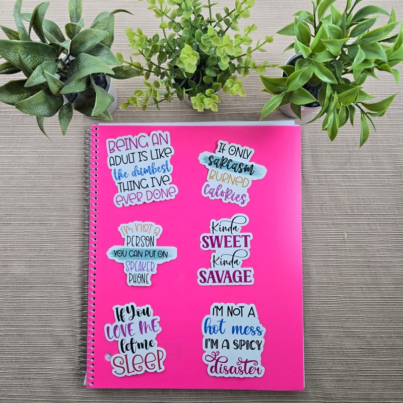 Sarcastic Funny Quote Stickers (ONLINE ORDER ONLY)