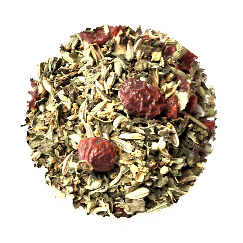 Storm Chaser For Kids (ONLINE ORDER ONLY)