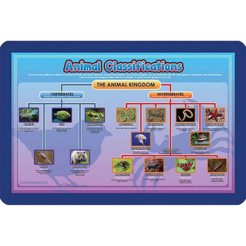 Animal Classifications