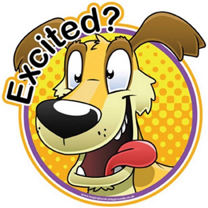 How Do You Feel  Excited