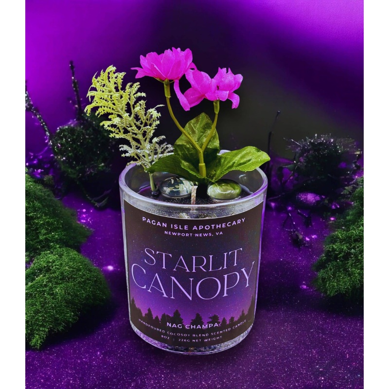 Starlit Canopy Magical Forest Candle (ONLINE ORDER ONLY)