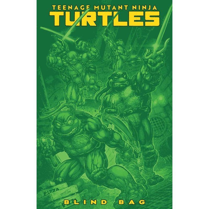 TMNT #13 Blind Bag Pre-Order (ONLINE ORDER ONLY)