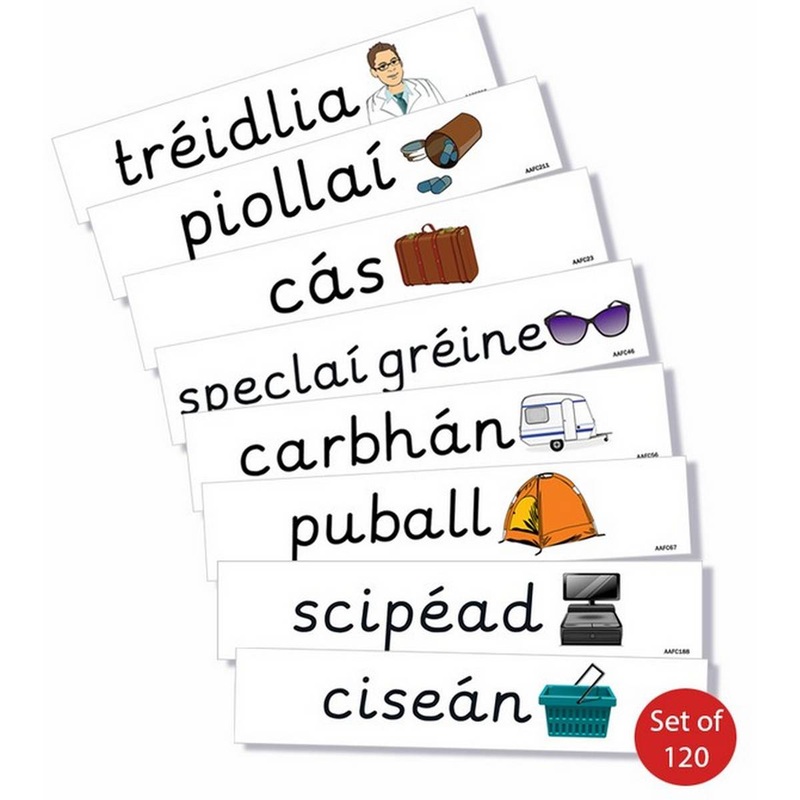 Aistear Activities Flashcards in Irish  Set of 120