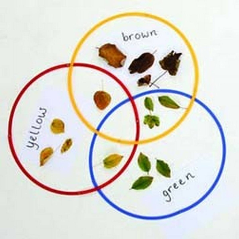 Desktop Sorting Circles Set  Pack of 15