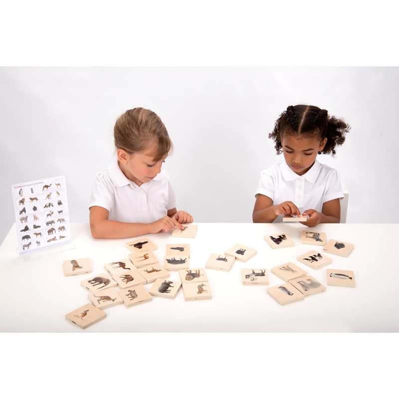 Wild Animal Family Match Pack of 28