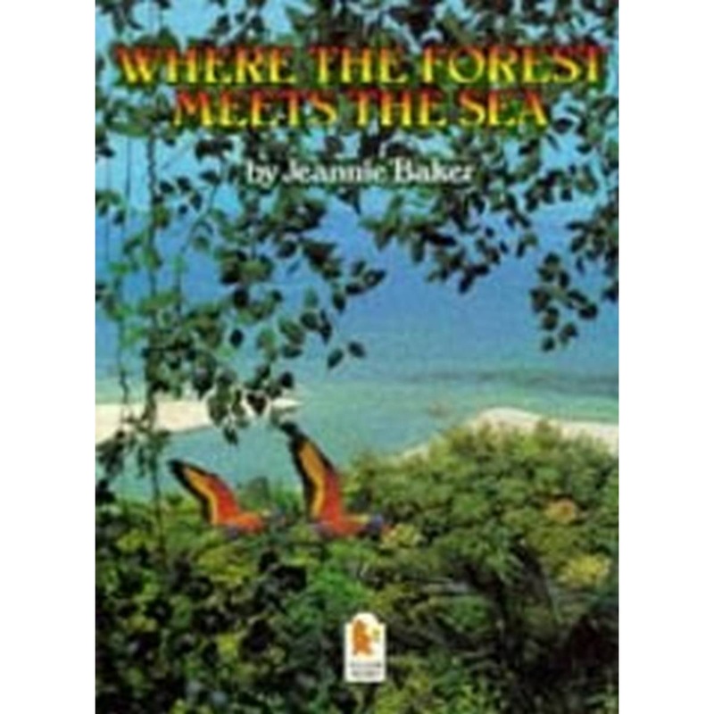 Where the Forest Meets the Sea (Big Books)