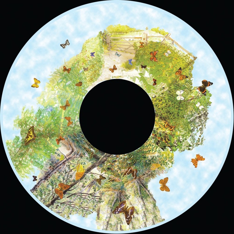 6 Inch Projector Wheel  British Butterflies Scene