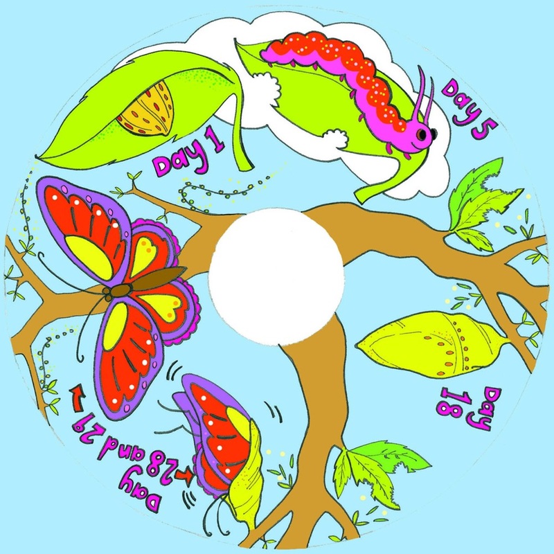 6 Inch Projector Wheel  Butterfly Scene