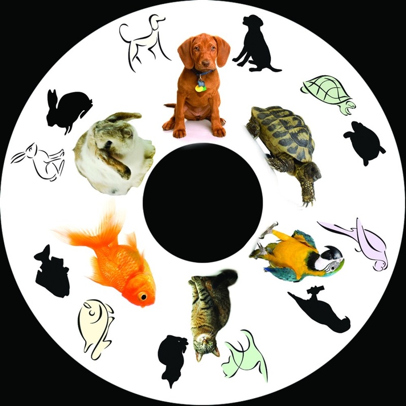 6 Inch Projector Wheel  Pets Scene