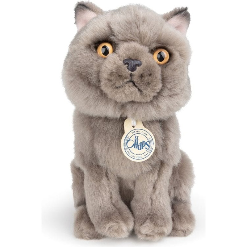 BT Chaps Freddy the British Shorthair Cat Plush in Giftbox – 6.5