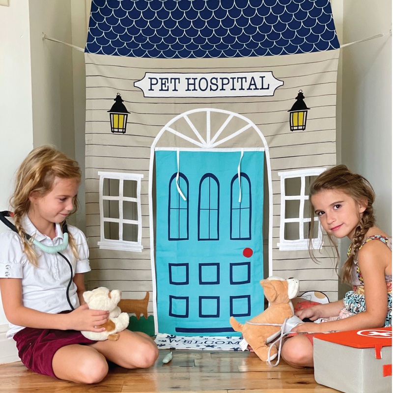 Pet Hospital Doorway Storefront with Vet’s Kit (ONLINE ORDER ONLY)