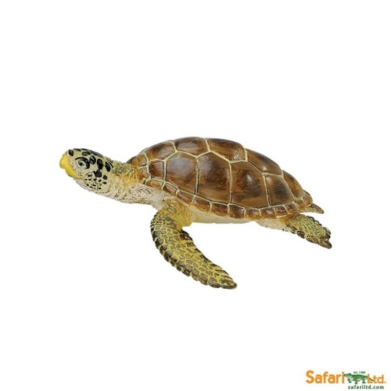 Safari turtle