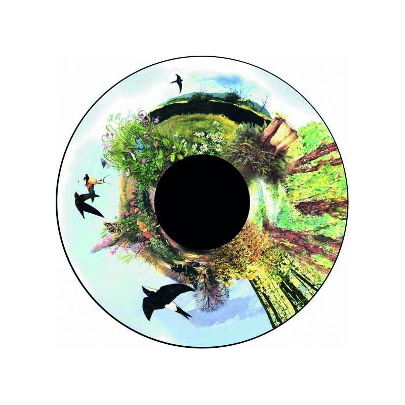 In the Country  6 Inch Projector Wheel