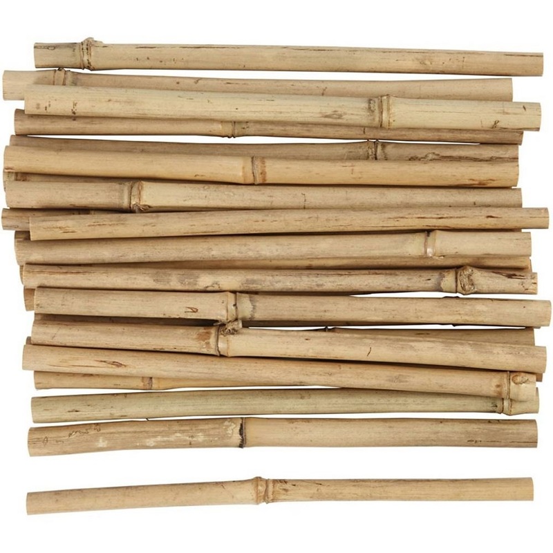 Bamboo stick  Pack of 30