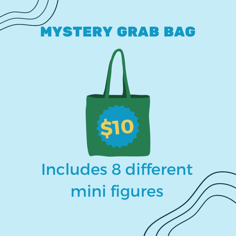 Mystery Grab Bag (ONLINE ORDER ONLY)