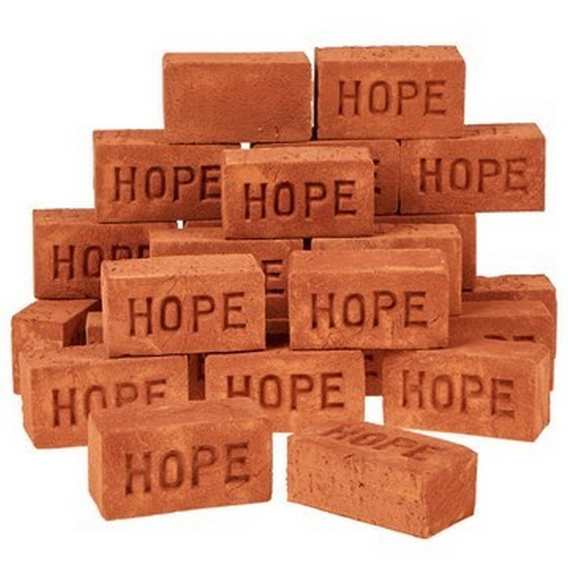 Real Mini Bricks Pack of 25