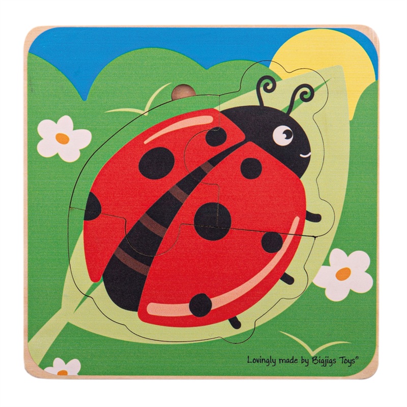 Lifecycle Layer Puzzle  Ladybug