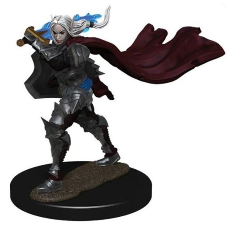 Elf Paladin Female – Pathfinder Premium