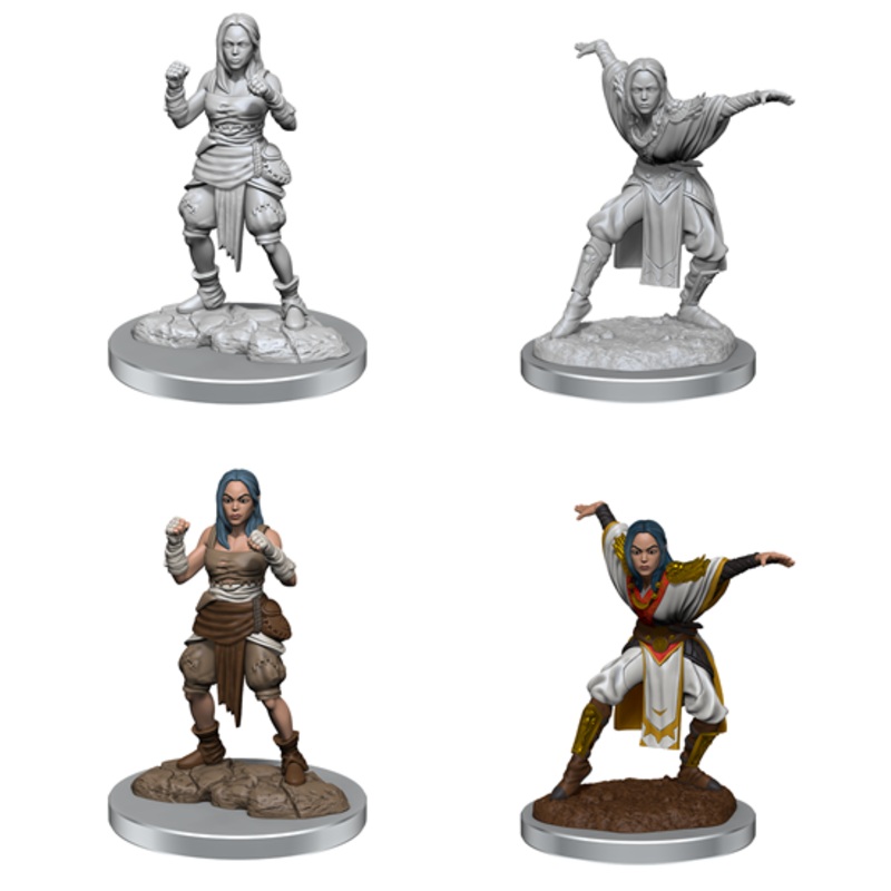 Half-Elf Monk Female Pathfinder