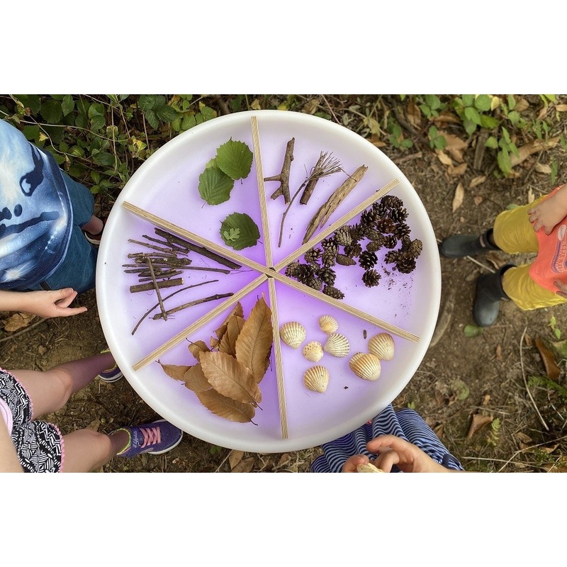 Wooden Discovery Dividers