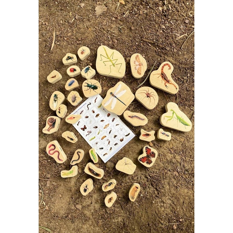 Wooden Minibeast Blocks  Pk33