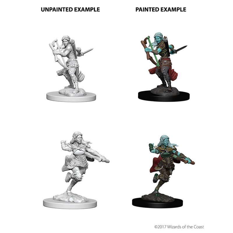 Air Genasi Female Rogue – Nolzur Primed