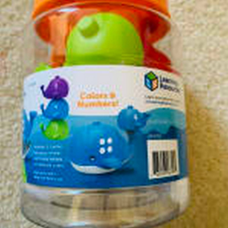 Snap-n-Learn Stacking Whales