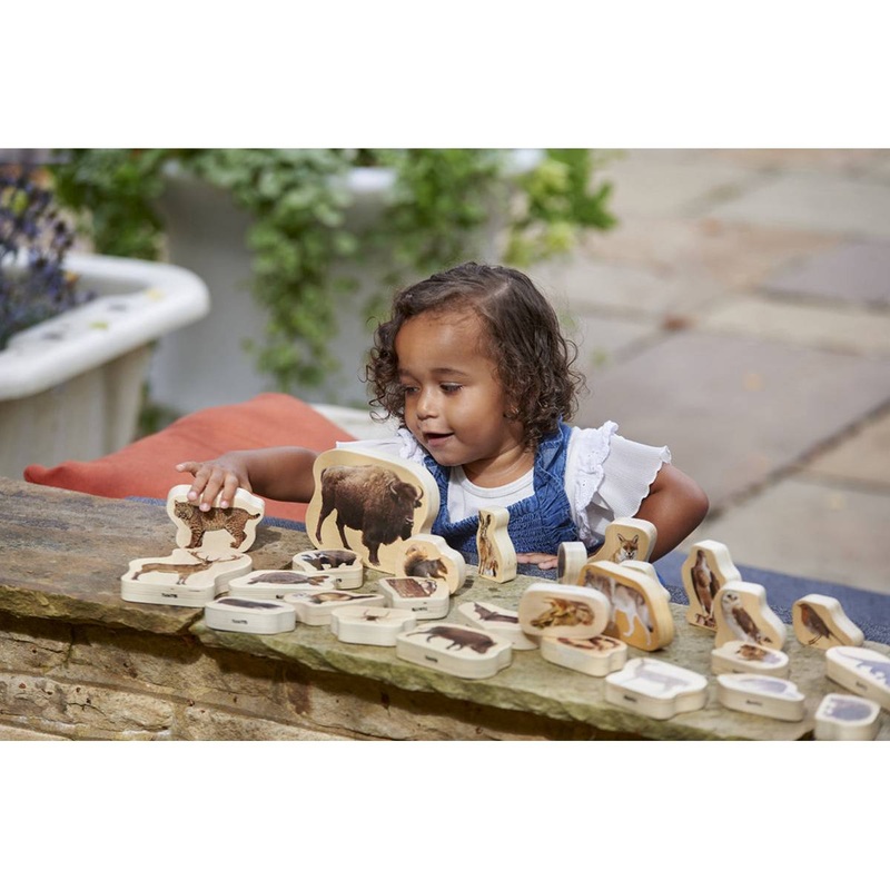 Wooden Forest Animal Blocks Pack of 30