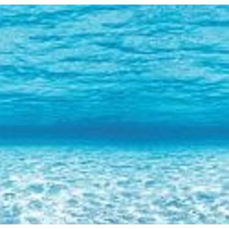 Fadeless Display Rolls 1.2m x 3.7m Under the Sea
