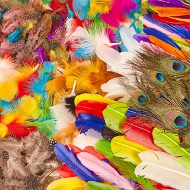 Super Saver Feather Classpack