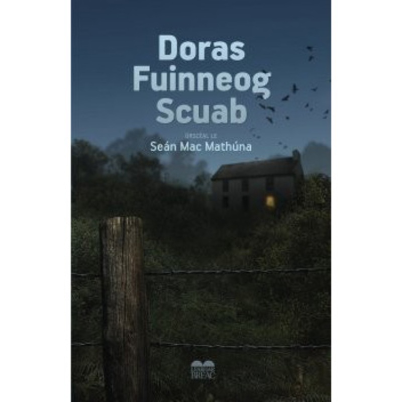 Doras Fuinneog Scuab (B)
