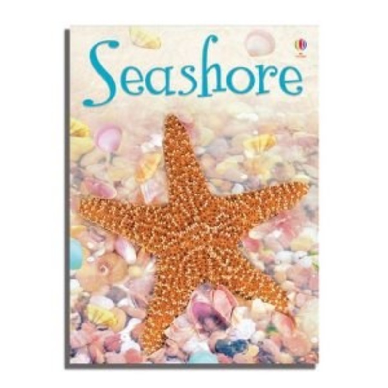Seashore (Usborne Beginners)